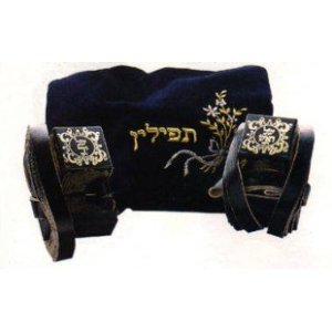 Pair of High Quality Tefillin Phylacteries