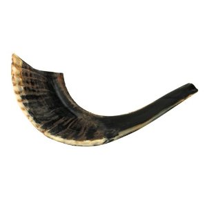  Kosher Black Rams Horn Natural Shofar